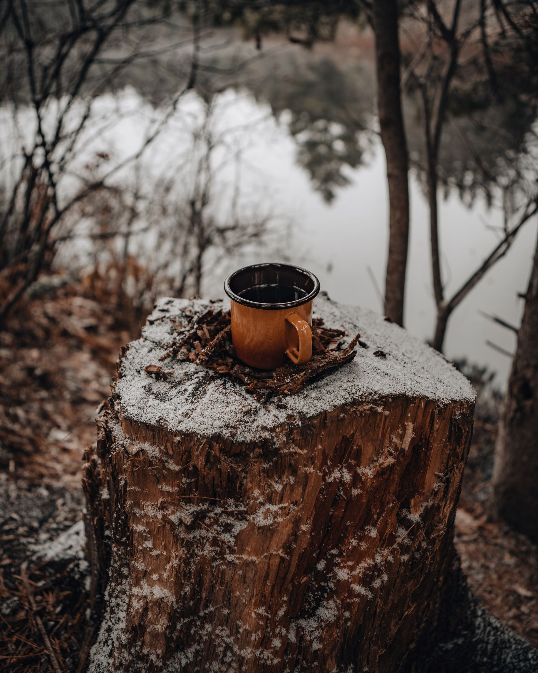 winterkamperen-blog-sneeuw-koffie-stam-gobanna